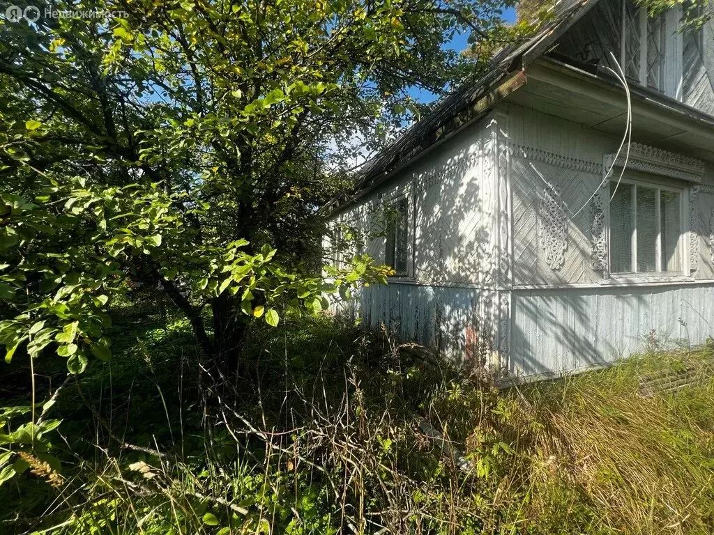 Участок в Мгинское городское поселение, садоводческий массив ... - Фото 1