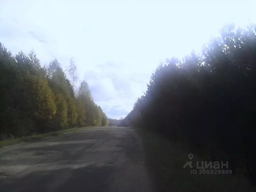 Участок в Нижегородская область, Дальнеконстантиновский муниципальный ... - Фото 1