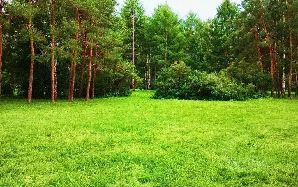 Участок в Московская область, Одинцовский городской округ, пос. ... - Фото 1
