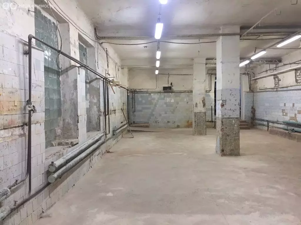 Помещение свободного назначения (223 м) - Фото 2