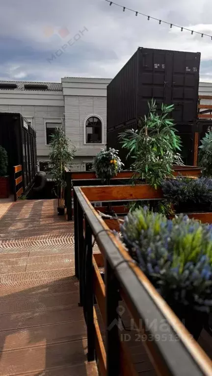 Помещение свободного назначения в Краснодарский край, Краснодар ... - Фото 1