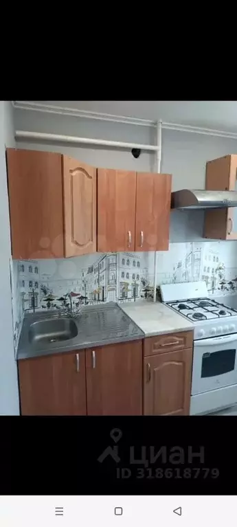 1-к кв. Самарская область, Чапаевск Вокзальная ул., 12 (30.0 м) - Фото 0