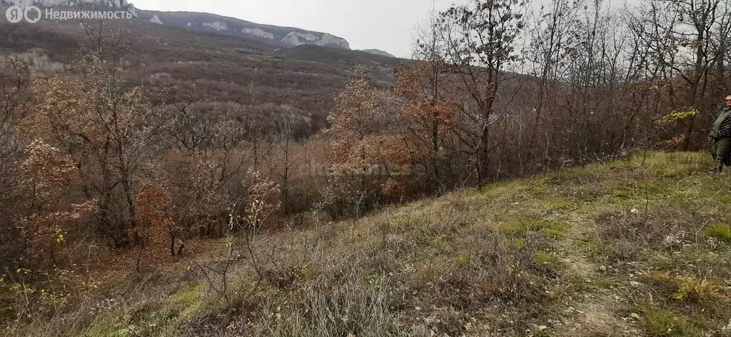 Участок в Соколиное, Ялтинская улица (200 м) - Фото 2