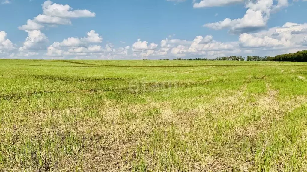 Участок в Тульская область, Новомосковск Сокольники мкр,  (13.5 сот.) - Фото 1