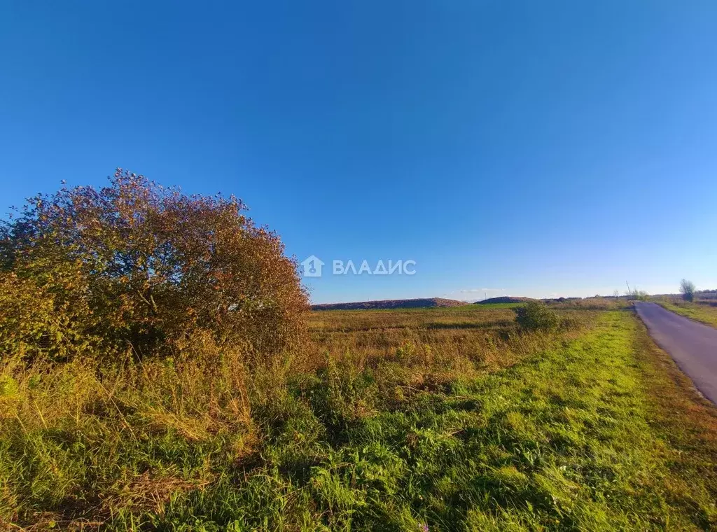 Участок в Владимирская область, Судогодский район, пос. Головино ул. ... - Фото 2