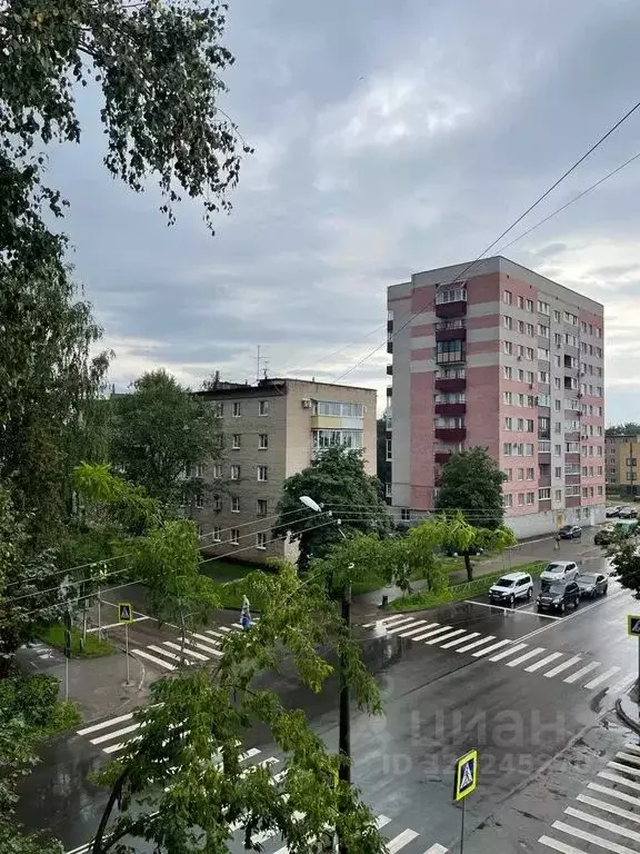 2-к кв. Псковская область, Великие Луки Октябрьский просп., 40/7 (37.0 ... - Фото 0
