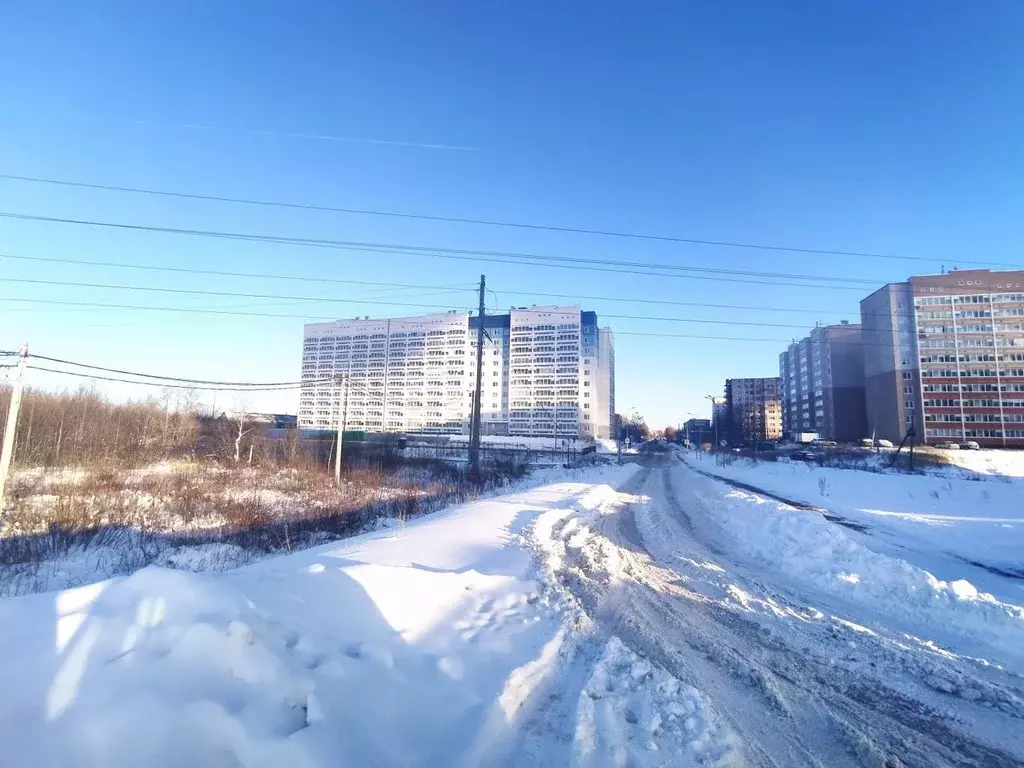 1-к кв. Пермский край, Пермь ул. Маяковского, 54 (32.0 м) - Фото 2
