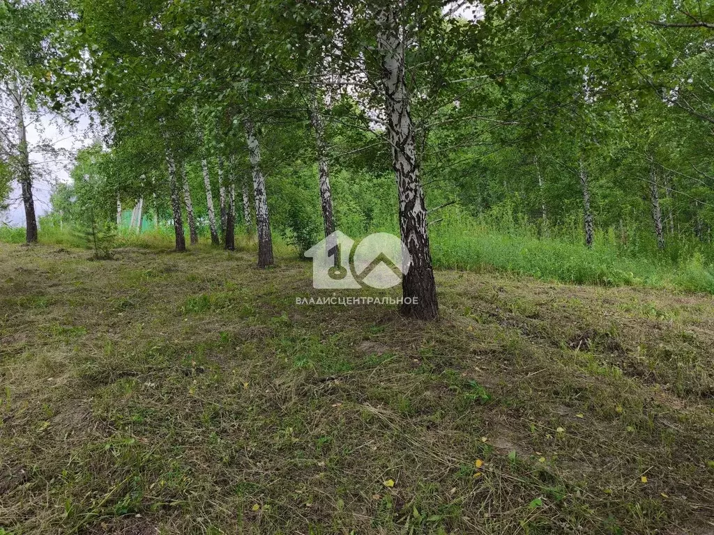 Участок в Новосибирская область, Новосибирск Зеленодолинская ул., ... - Фото 0