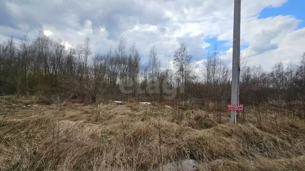 Участок в Ленинградская область, Всеволожский район, Морозовское ... - Фото 0