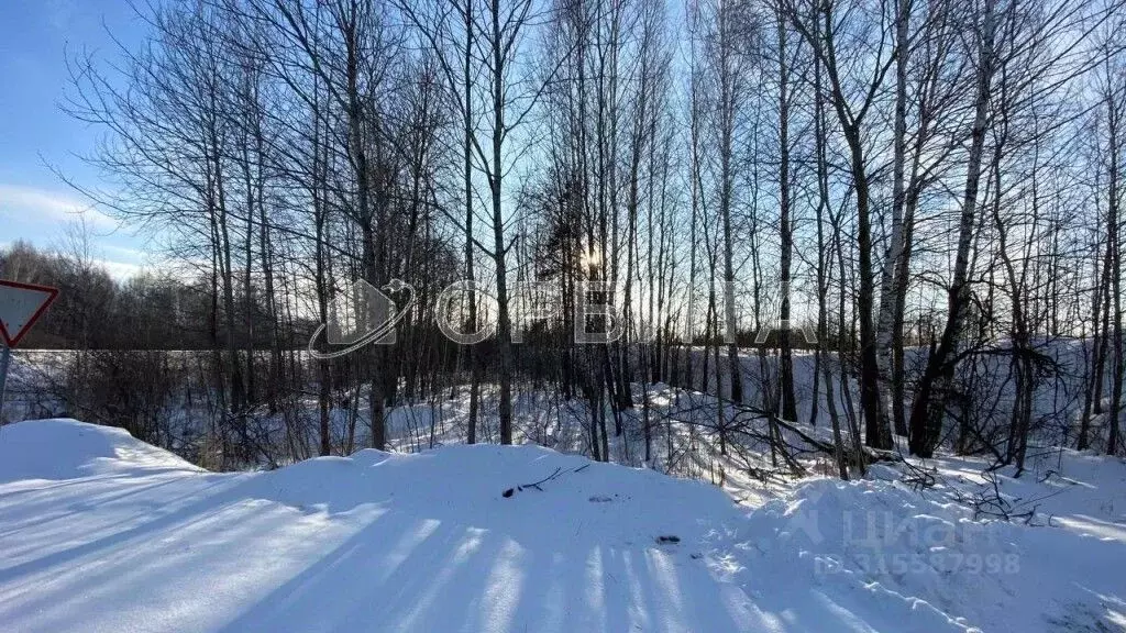 Участок в Тюменская область, Нижнетавдинский район, Разбахта СНТ  (8.0 ... - Фото 0