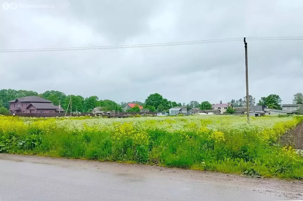 Участок в Жабино, Новая улица (25.85 м) - Фото 0