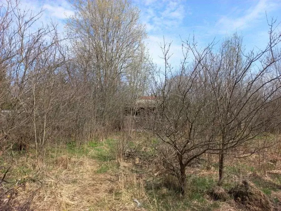 Участок в Москва 55 лет Победы СНТ, 15 (6.0 сот.) - Фото 2