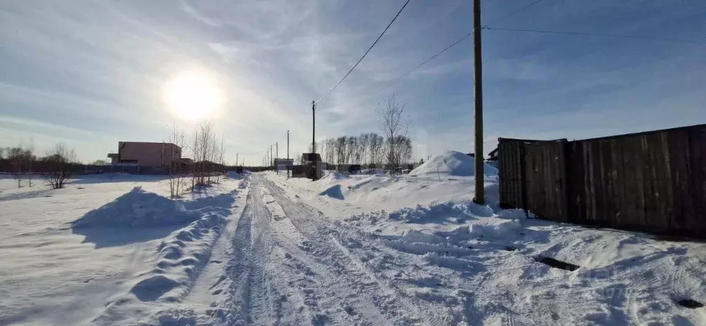 Участок в Новосибирская область, Новосибирский район, Станционный ... - Фото 1