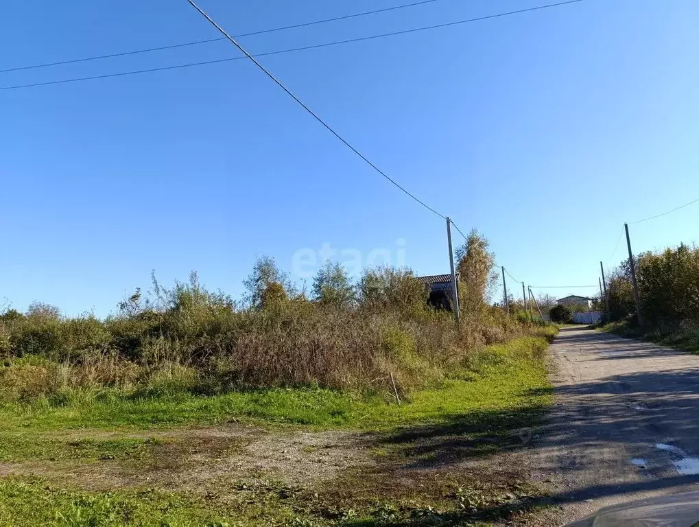 Участок в Калининградская область, Багратионовский муниципальный ... - Фото 0