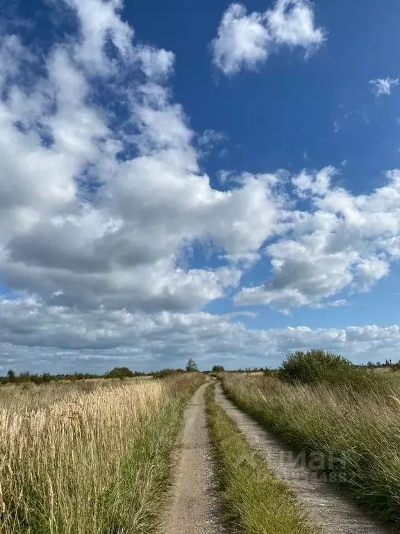 Участок в Калининградская область, Гурьевский муниципальный округ, ... - Фото 1