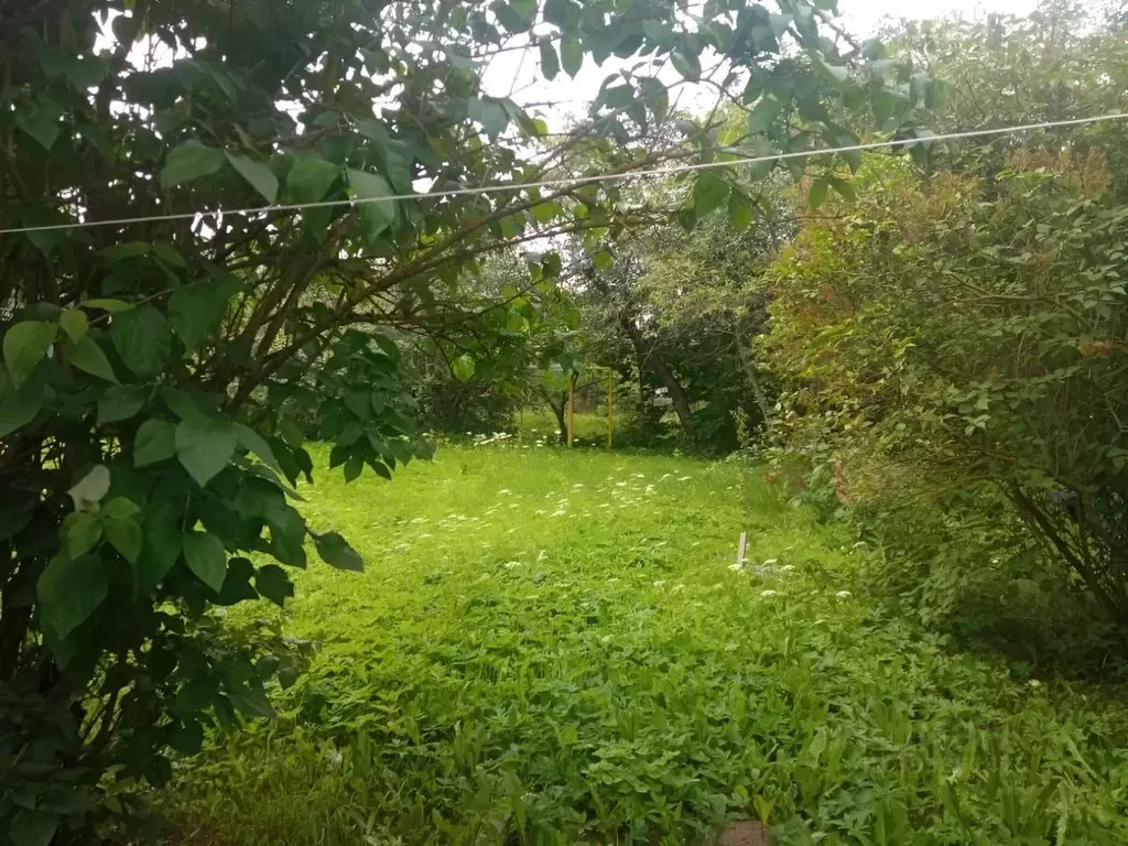 Дом в Санкт-Петербург, Санкт-Петербург, Красное Село Зеленая ул., 23 ... - Фото 2