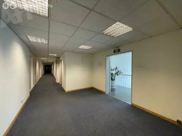 Помещение свободного назначения (800 м) - Фото 0