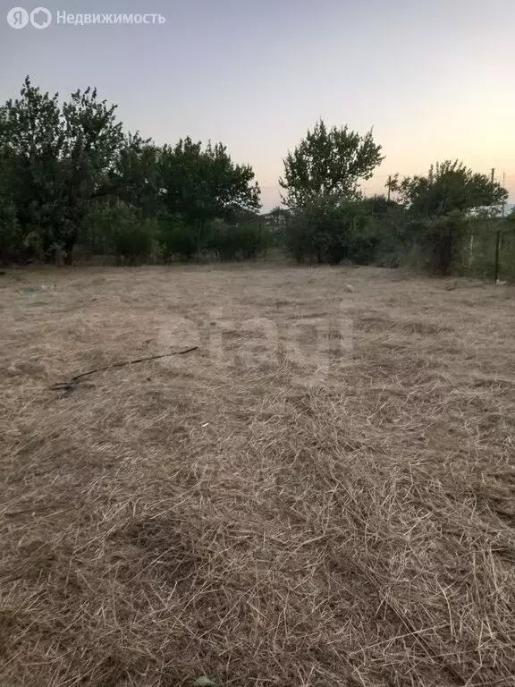 Участок в Ростовская область, станица Багаевская (11 м) - Фото 0