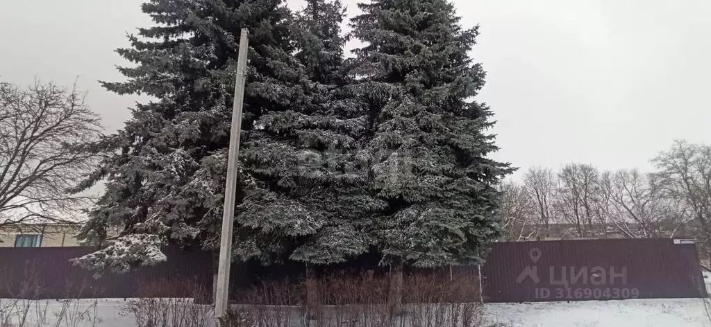 Дом в Белгородская область, Губкинский городской округ, с. Истобное  ... - Фото 1