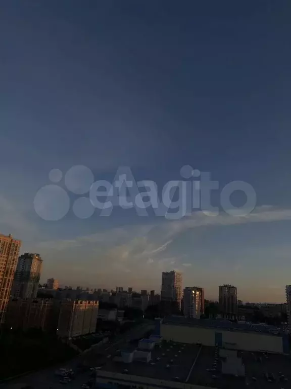 Квартира-студия, 24,9 м, 11/19 эт. - Фото 1