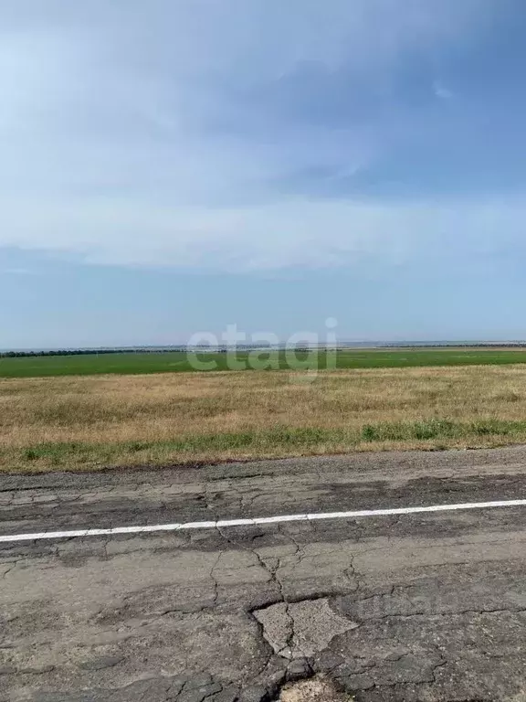 Участок в Крым, Черноморский район, Межводненское с/пос, с. Снежное ... - Фото 0
