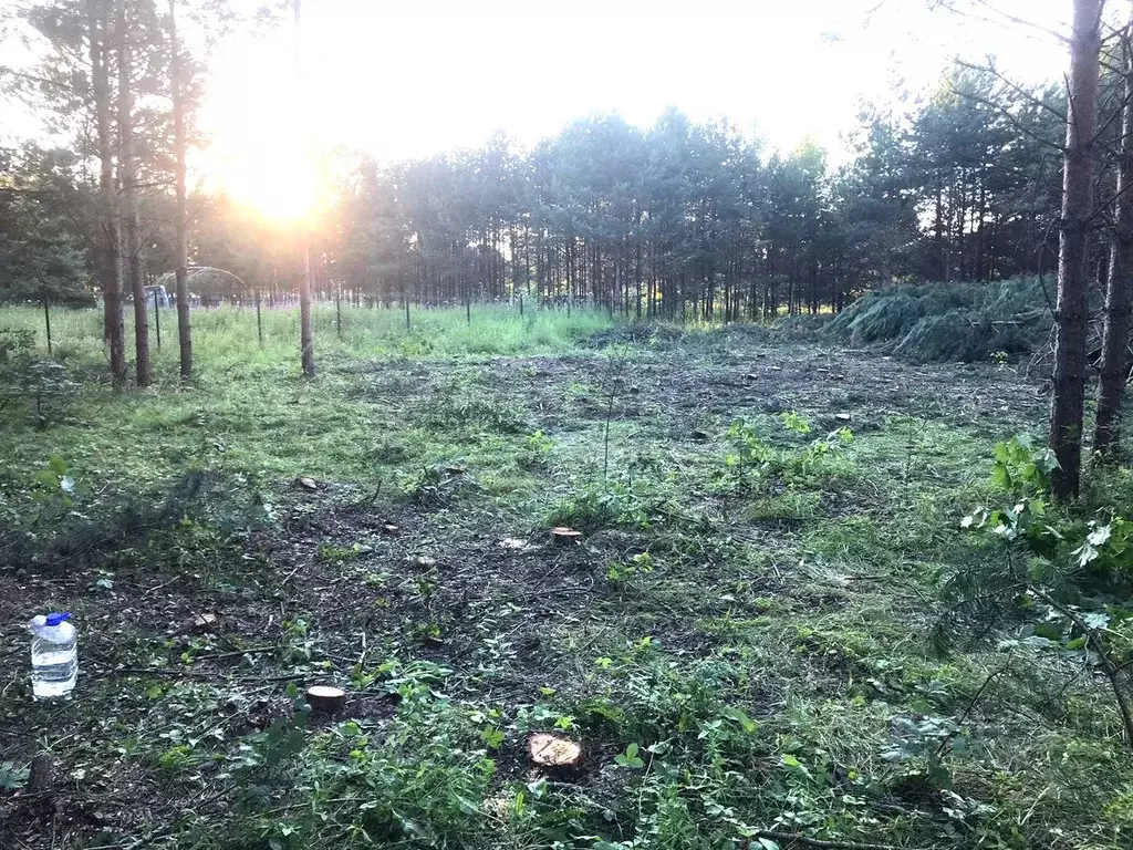 Участок в Московская область, Орехово-Зуевский городской округ, д. ... - Фото 1