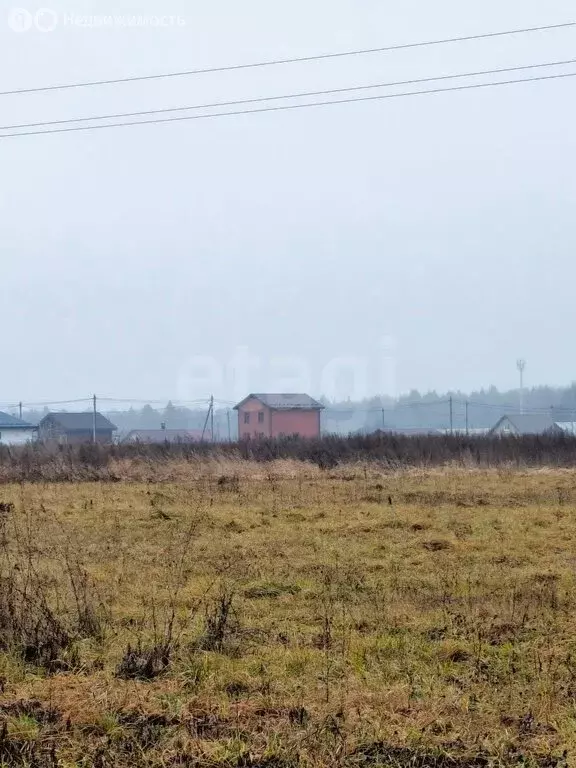 Участок в Медведевский район, Руэмское сельское поселение, деревня ... - Фото 2