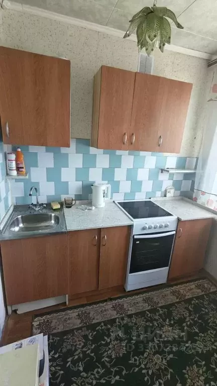 3-к кв. Алтайский край, Барнаул ул. Гущина, 205 (47.0 м) - Фото 1