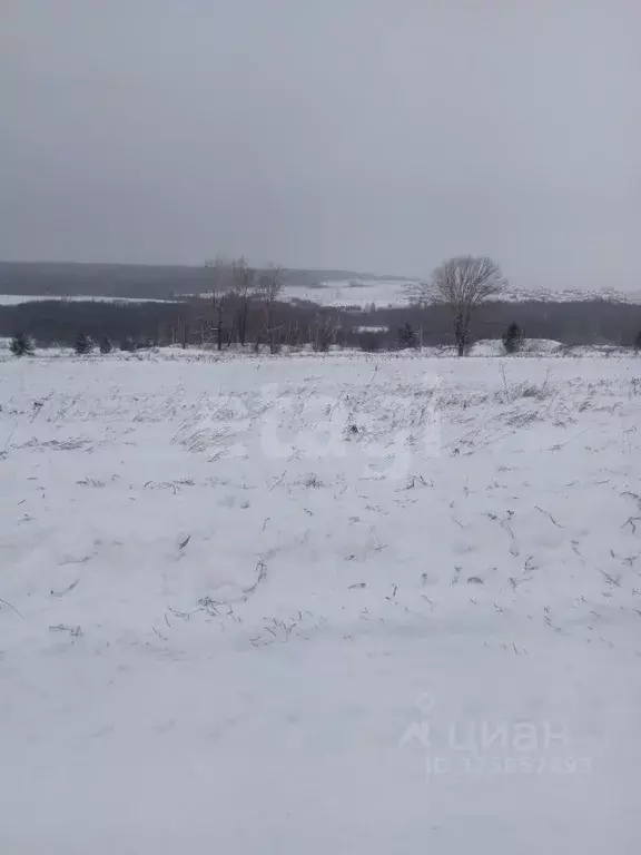 Участок в Башкортостан, Гафурийский район, Красноусольский сельсовет, ... - Фото 1