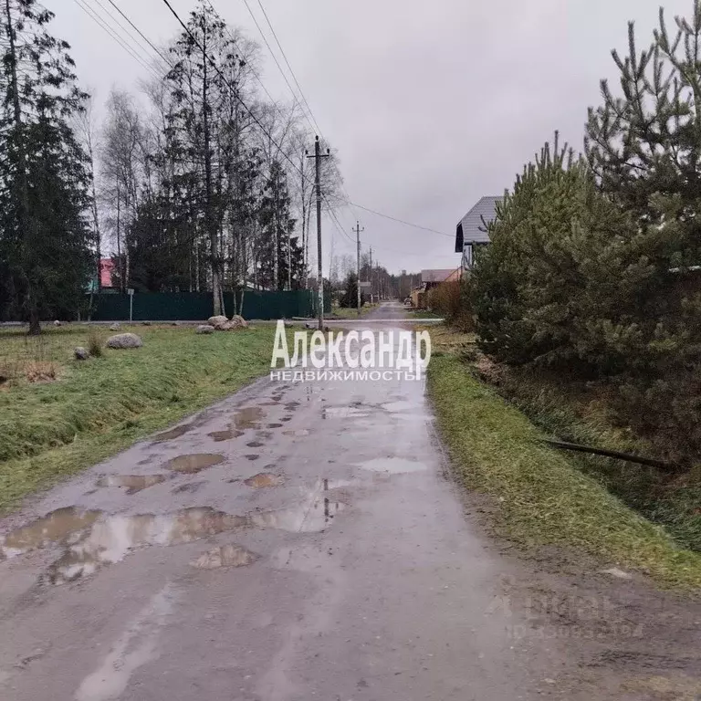 Участок в Ленинградская область, Кировский район, Синявинское ... - Фото 1