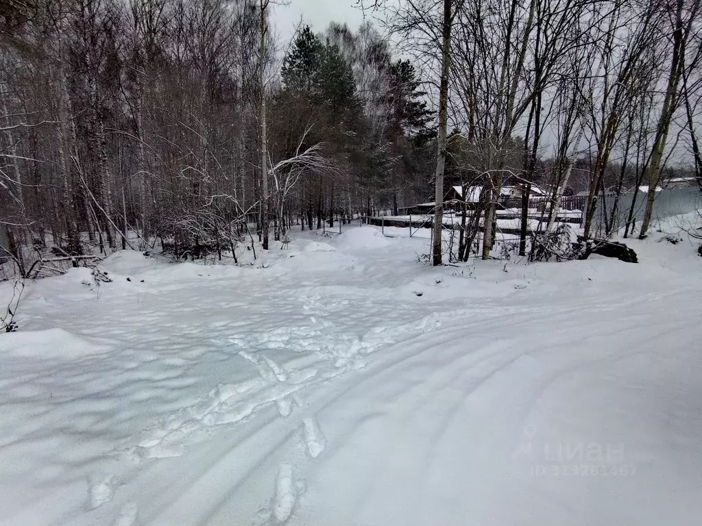 Участок в Нижегородская область, Саров Красная звезда СНТ, 7-й уч, 208 ... - Фото 0