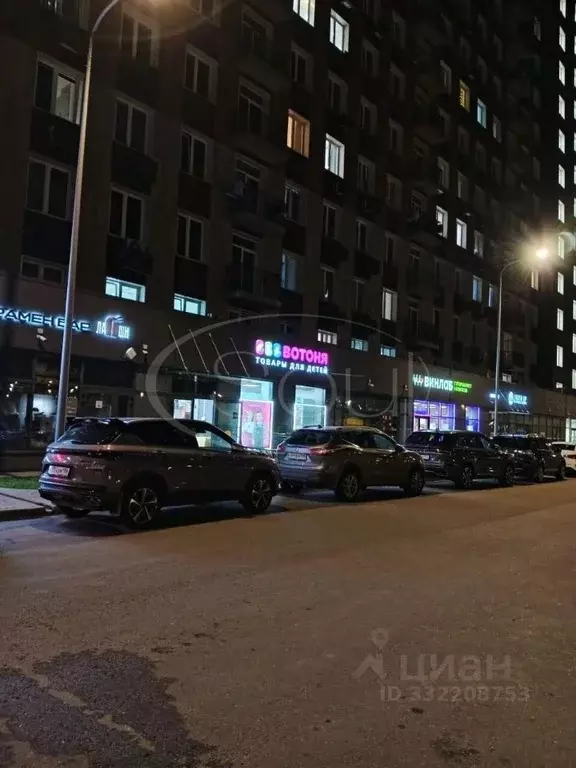 Торговая площадь в Москва Березовая аллея, 19к3 (240 м) - Фото 2