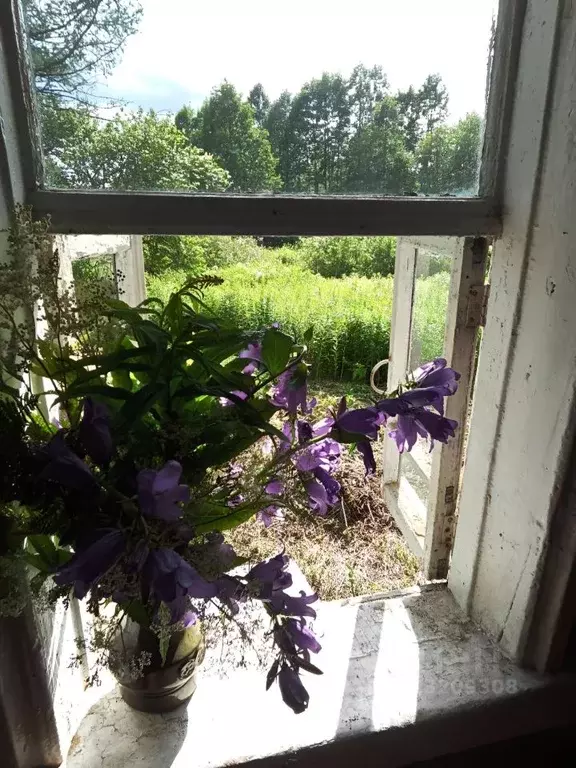 Дом в Вологодская область, Череповец Молодежная ул., 1А (45 м) - Фото 1