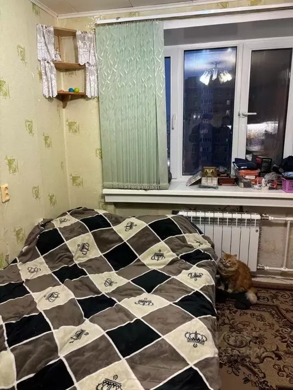 Комната Татарстан, Зеленодольск ул. Чапаева, 1 (29.0 м) - Фото 1