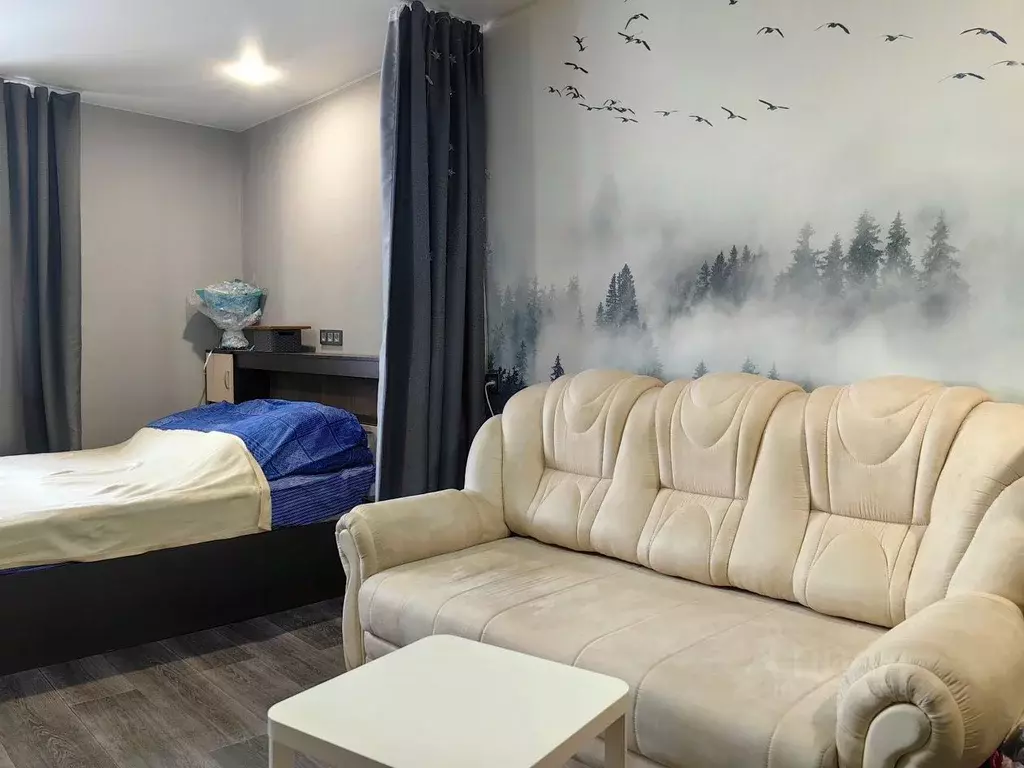 1-к кв. Омская область, Омск ул. Дмитриева, 5/3 (34.5 м) - Фото 1