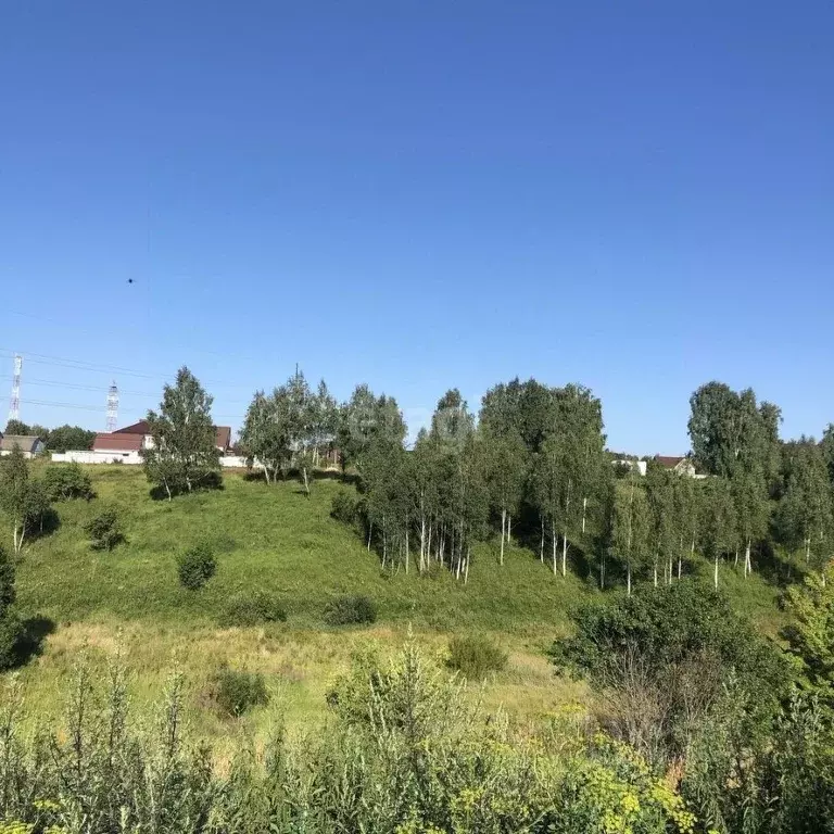 Участок в Брянская область, Брянский район, Глинищевское с/пос, с. ... - Фото 1