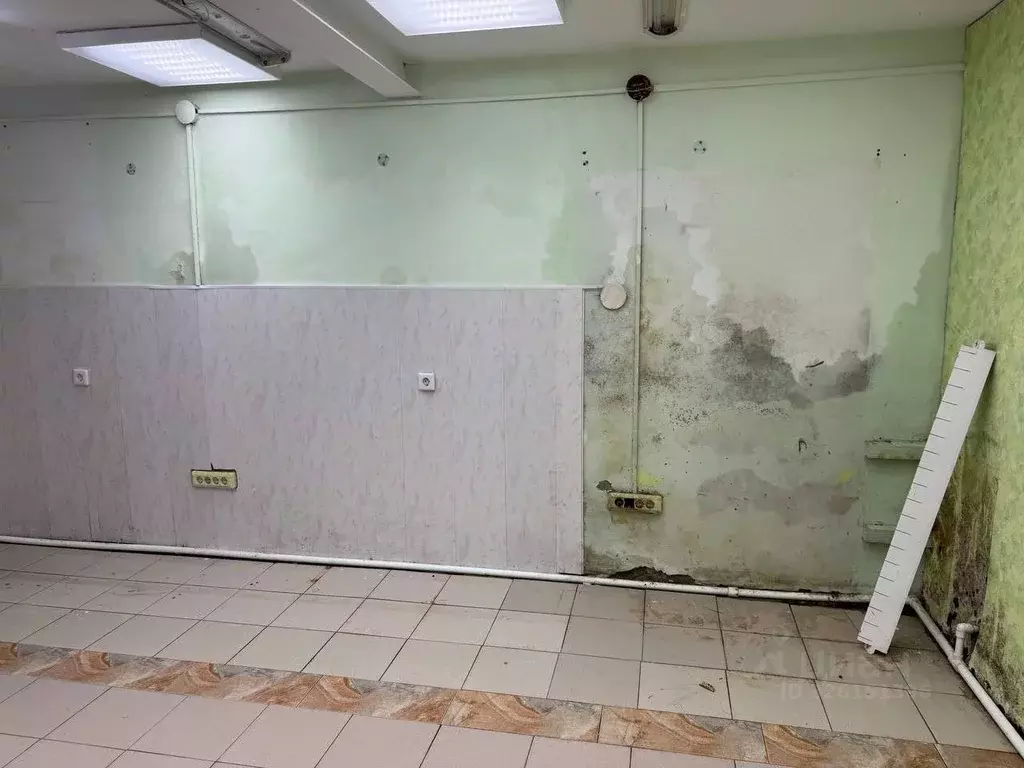 Помещение свободного назначения в Тюменская область, Ишим ул. Ленина, ... - Фото 1