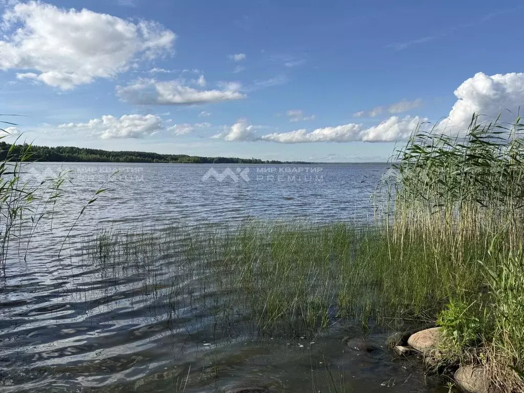 Таунхаус в Санкт-Петербург, Санкт-Петербург, Сестрорецк ул. Всеволода ... - Фото 2