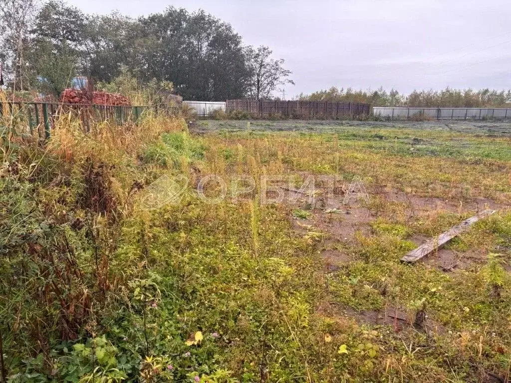 Участок в Тюменская область, Тюмень СОСН Изыскатель тер., ул. Вишневая ... - Фото 2