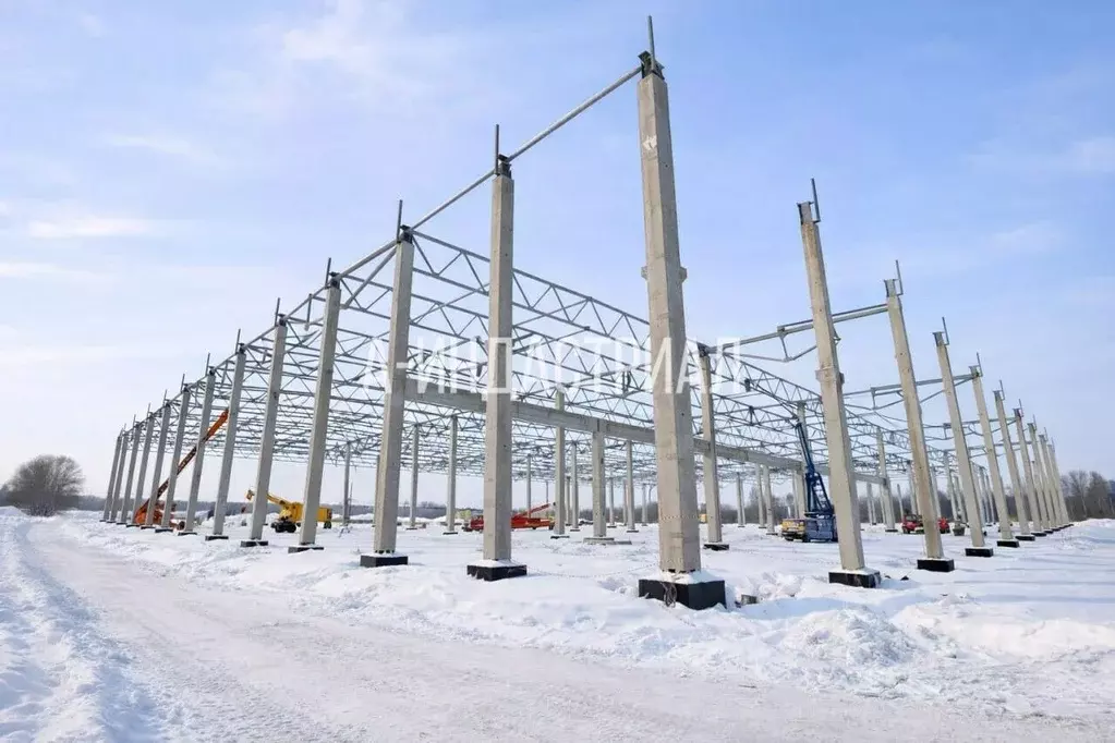 Склад в Московская область, Домодедово городской округ, д. Шахово 60 ... - Фото 2