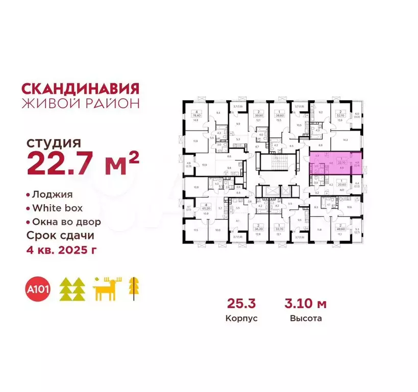Квартира-студия, 22,7 м, 6/17 эт. - Фото 1