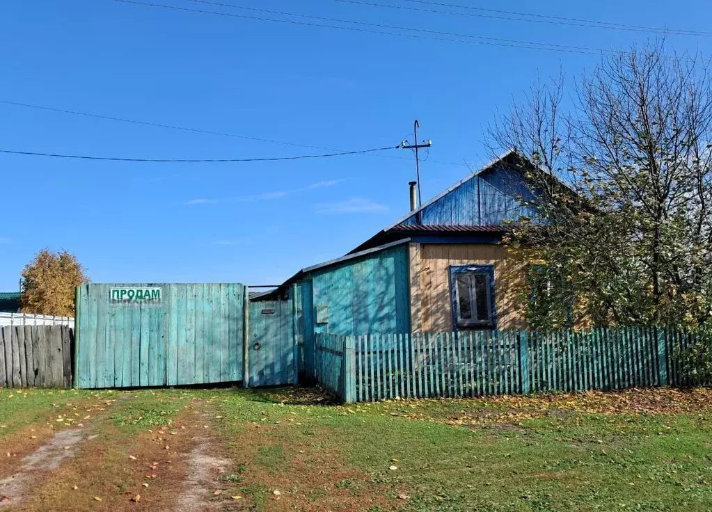 Дом в Новосибирская область, Колывань рп ул. Сергиенко, 10 (38 м) - Фото 1