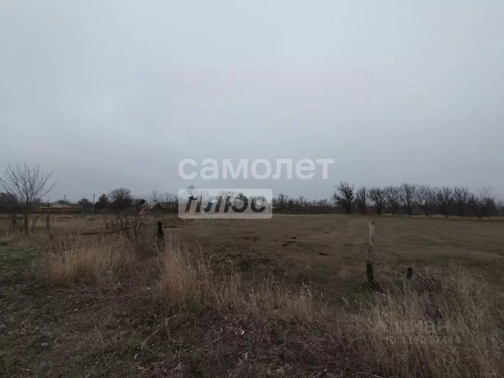 Участок в Краснодарский край, Щербиновский район, Екатериновское ... - Фото 1