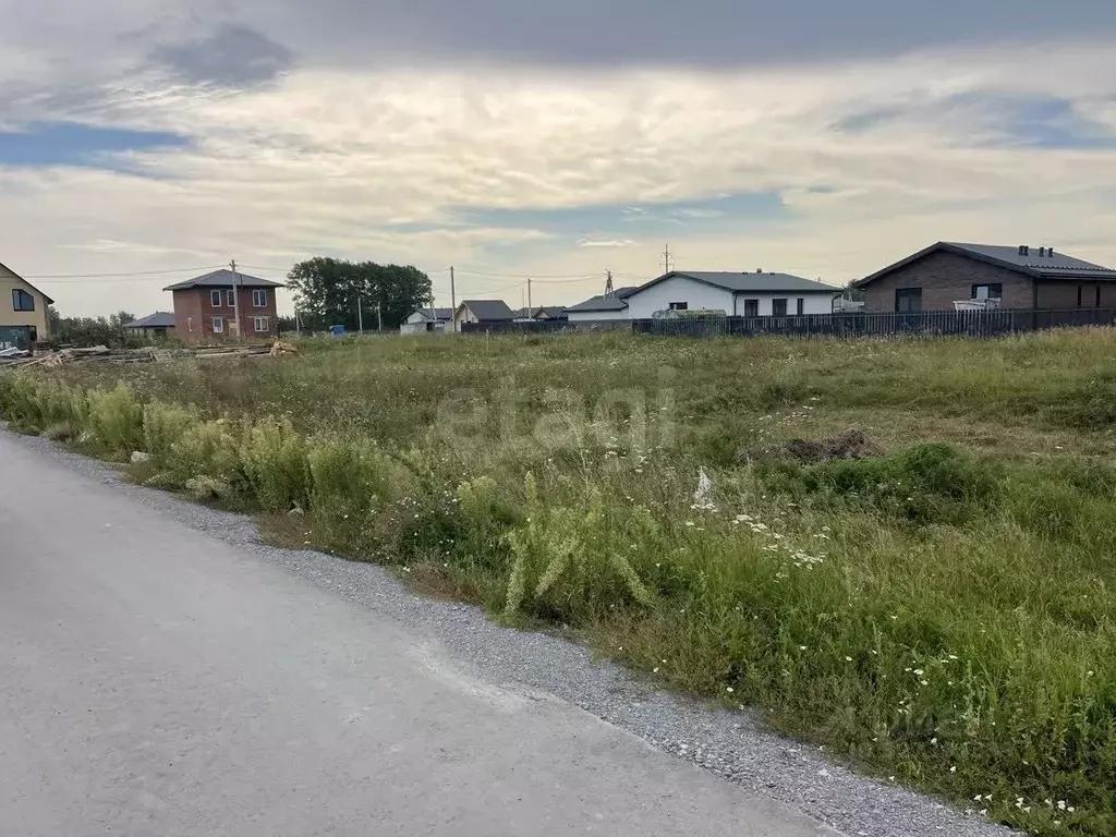 Участок в Новосибирская область, Новосибирский район, Морской ... - Фото 1