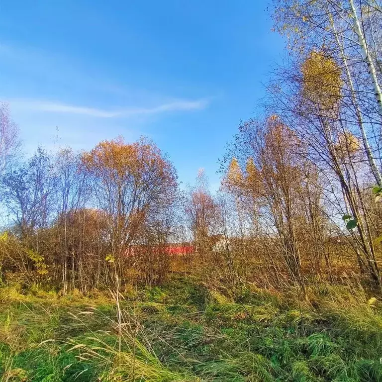 Дом в Московская область, Щелково городской округ, д. Большие Петрищи ... - Фото 0