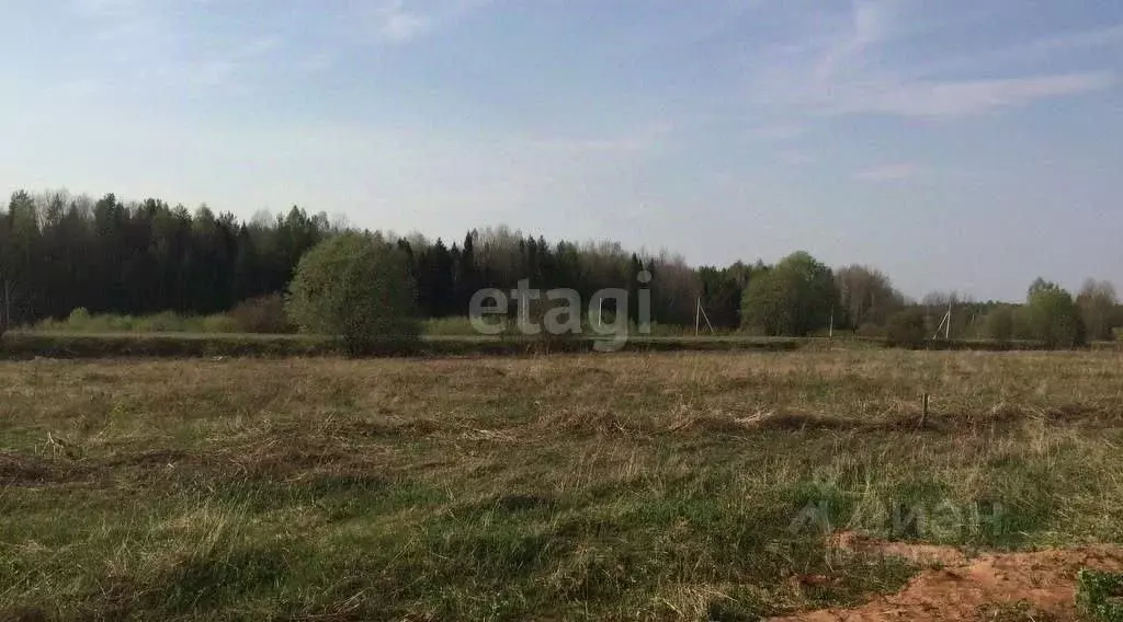 Участок в Кировская область, Кирово-Чепецкий район, Кстининское с/пос, ... - Фото 1