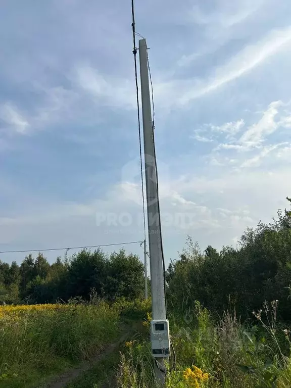 Участок в Калининградская область, Гурьевский муниципальный округ, ... - Фото 2