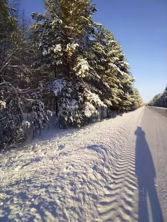 Участок в Свердловская область, Полевской городской округ, с. Косой ... - Фото 0