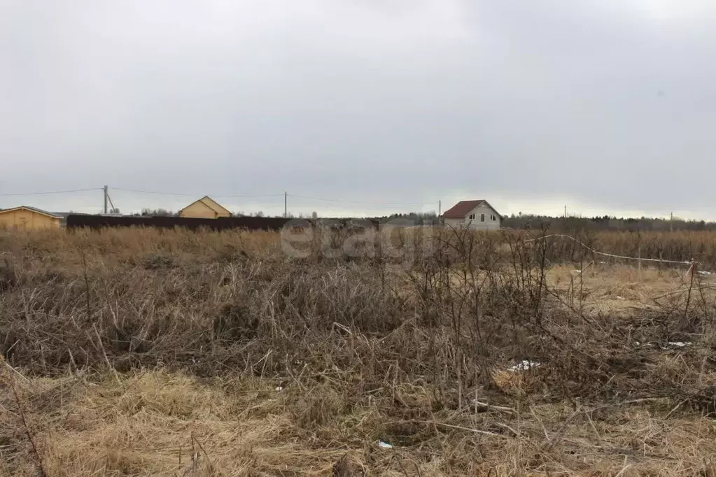 Участок в Вологодская область, д. Бурдуково  (10.0 сот.) - Фото 2