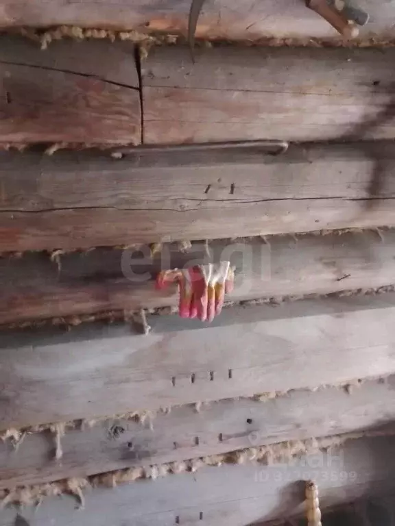 Дом в Кировская область, Кирово-Чепецкий район, Кстининское с/пос, ... - Фото 1